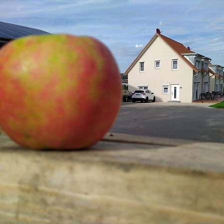 Ferienhof Dachsberg Wohnung Sundowner Берматинген Экстерьер фото