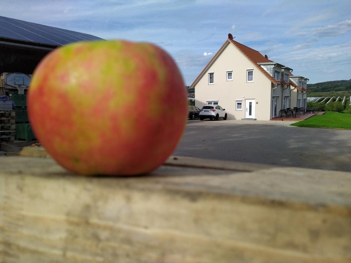 Ferienhof Dachsberg Wohnung Sundowner Берматинген Экстерьер фото